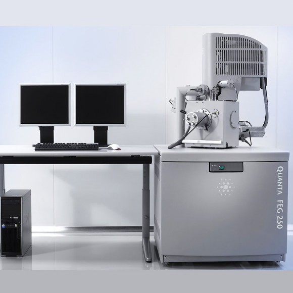 Сканирующий электронный микроскоп Qemscan 650 FEG