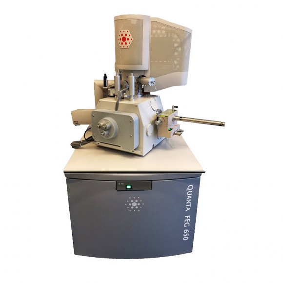 Сканирующий микроскоп FEI MLA 650 FEG